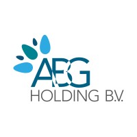 ABG Holding BV logo - Similar company to Tigerstaffing
