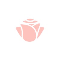 SLUT WINE logo - Similar company to Oneshot