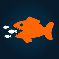 Big Fish Local logo - Similar company to Visionary Digital Studios - B2B-Specialised Marketing