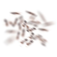 Ants of the Prairie logo - Similar company to Lateral Office Inc.