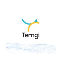 Terngi AI logo - Similar company to Ai Dev Solutions