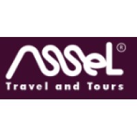 Assel Travel logo - Similar company to Digital Seva Pune
