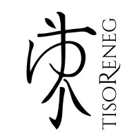 Tiso Reneg Graphic Design & Photography logo - Similar company to Graphic Stitch Inc