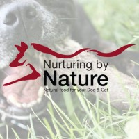 Nurturing by Nature Ltd logo - Similar company to Nature Diet
