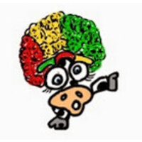 Mooketing logo - Similar company to Pokket