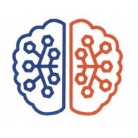 Synapses IOM LLC logo - Similar company to The Dot Org