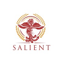 Salient Finance & Debt Advisory logo - Similar company to Belmayne Independent Chartered Financial Planners Llp