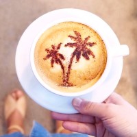 PalmCoffee Startup logo - Similar company to Reventura Gmbh