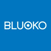 Bluoko Import Export Company SL logo - Similar company to Import Export Gourmet