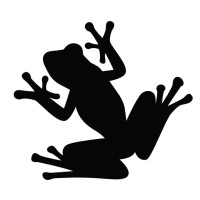 Frogs Can Fly UG (haftungsbeschränkt) logo - Similar company to Epv Electronics Gmbh