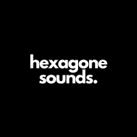 Hexagone Sounds logo - Similar company to Tropical Threads