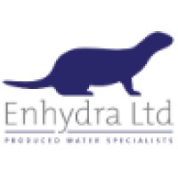 Enhydra Ltd logo - Similar company to Dk Engineering Jsc