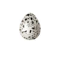 Hannah Blount Jewelry