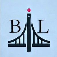 Bridge Light Consulting logo - Similar company to Bright Light Consulting