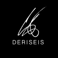DeRiseis logo - Similar company to Webhawk