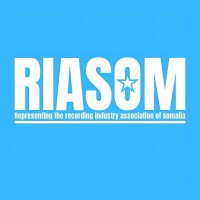 The Recording Industry Association of Somalia logo - Similar company to Netbeins