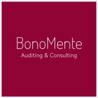 BonoMente Auditing & Consulting FZCO logo - Similar company to Inseracoaching
