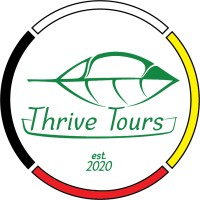 Thrive Tours logo - Similar company to Dnm Group Ltd.