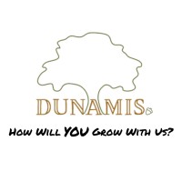 Dunamis Boston logo - Similar company to Bloom Arts Strategy