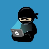 Code Ninjas Seattle logo - Similar company to The Boxyard Seattle | Victory Hall & The Yard, Hatback Bar & Grille, And Steelheads Alley