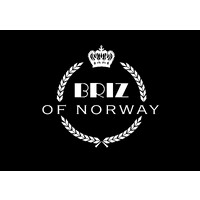 BRIZ of Norway logo - Similar company to Bvs Gewebetechnik