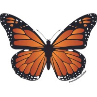 Nowus Foundation
