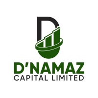 D'Namaz Capital Limited logo - Similar company to Halfinance