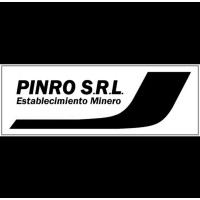 PINRO S.R.L. logo - Similar company to Codam Building Services Ltd.