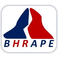 BHRAPE IT logo - Similar company to Nubecons Consulting