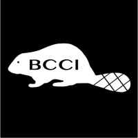 Beaver Construction Consulting, Inc. logo - Similar company to Excel Business Solutions