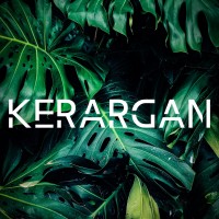 Kerargan logo - Similar company to Kerargan.Pro