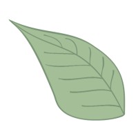 SeedStep Angels logo - Similar company to Rivet