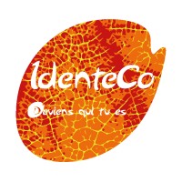 IdenteCo logo - Similar company to Liberitae S.L.