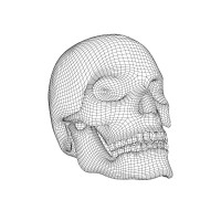 Cotofana Anatomy logo - Similar company to Persyou Ltd