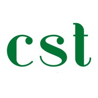 CST Consulting logo - Similar company to Lightning Soft Group