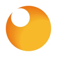 Redsys Servicios de Procesamiento logo - Similar company to Icca