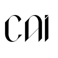 CAI DESIGN STUDIO logo - Similar company to Buro Doqi