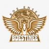 BDE ENSEA logo - Similar company to Bds Ensea