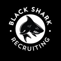 Black Shark Recruiting logo - Similar company to Black Shark