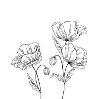 Flora Passau logo - Similar company to Cu Solutions Gmbh