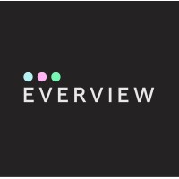 Everview Consulting Group logo - Similar company to Main Sheet Llc