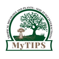 Tropical Mycology and  Plants-Soil fungi Interactions logo - Similar company to Minnesota Invasive Terrestrial Plants And Pests Center