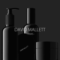 DAVID MALLETT HAIRCARE logo - Similar company to Bare Hands