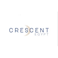 Crescent Egypt Insurance Brokers S.A.E logo - Similar company to Crescent Global