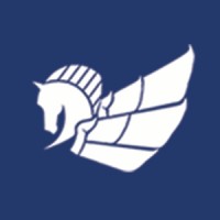 Pegasus Analytics logo - Similar company to Caulis