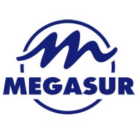 Megasur logo - Similar company to Kp Group