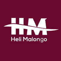 Heli Malongo Lda. logo - Similar company to Bestfly
