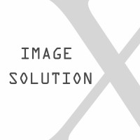 Image Solution X logo - Similar company to Chamni'S Eye