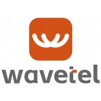 Wavetel IOT logo - Similar company to Watchnet Iot