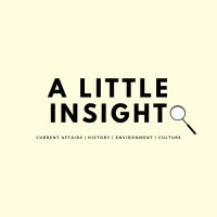 A Little Insight logo - Similar company to Everything Sorted Group Limited